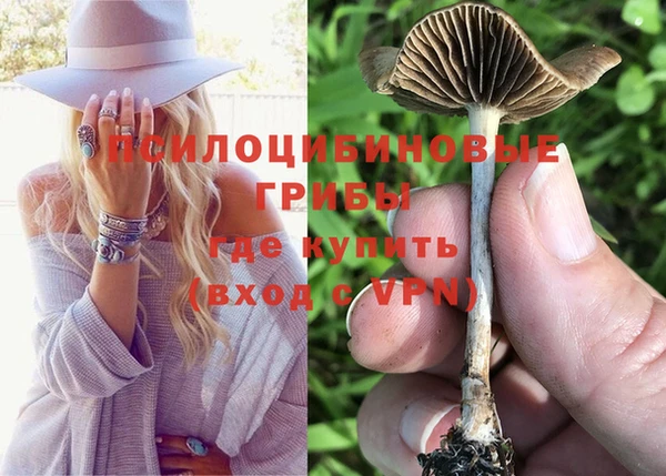 хмурый Абдулино