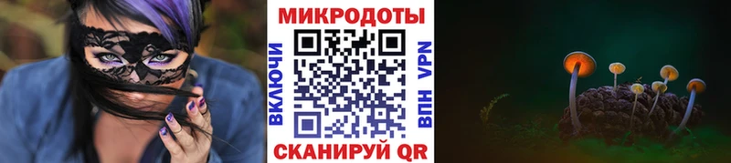 blacksprut ссылка  Кадников  Псилоцибиновые грибы Magic Shrooms 