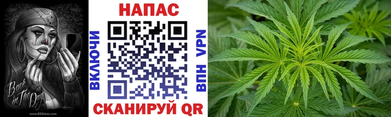 Марихуана Amnesia  Кадников 